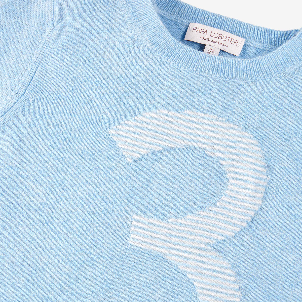 "BIRTHDAY BOYS" Sweater