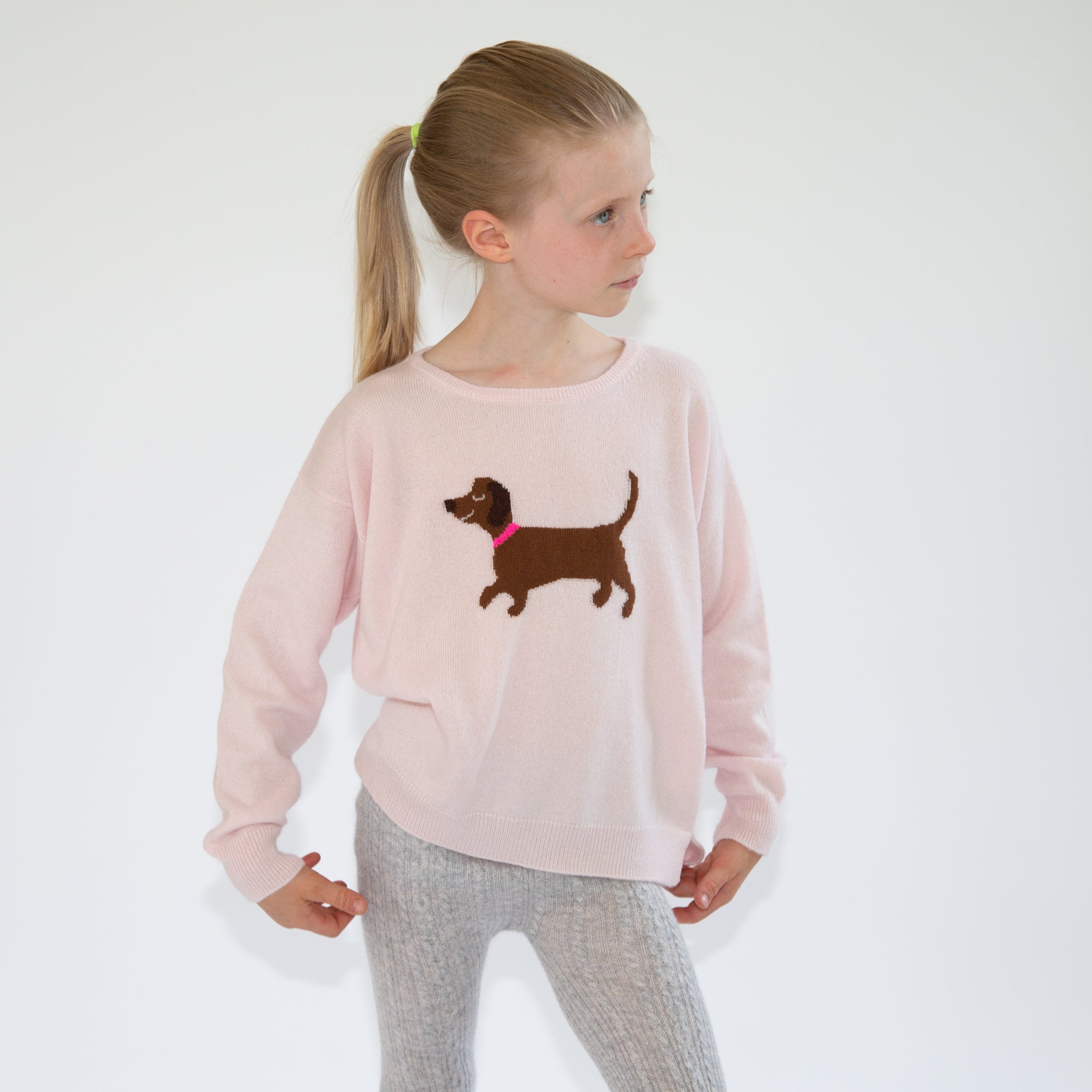 Sweater DACKEL PL