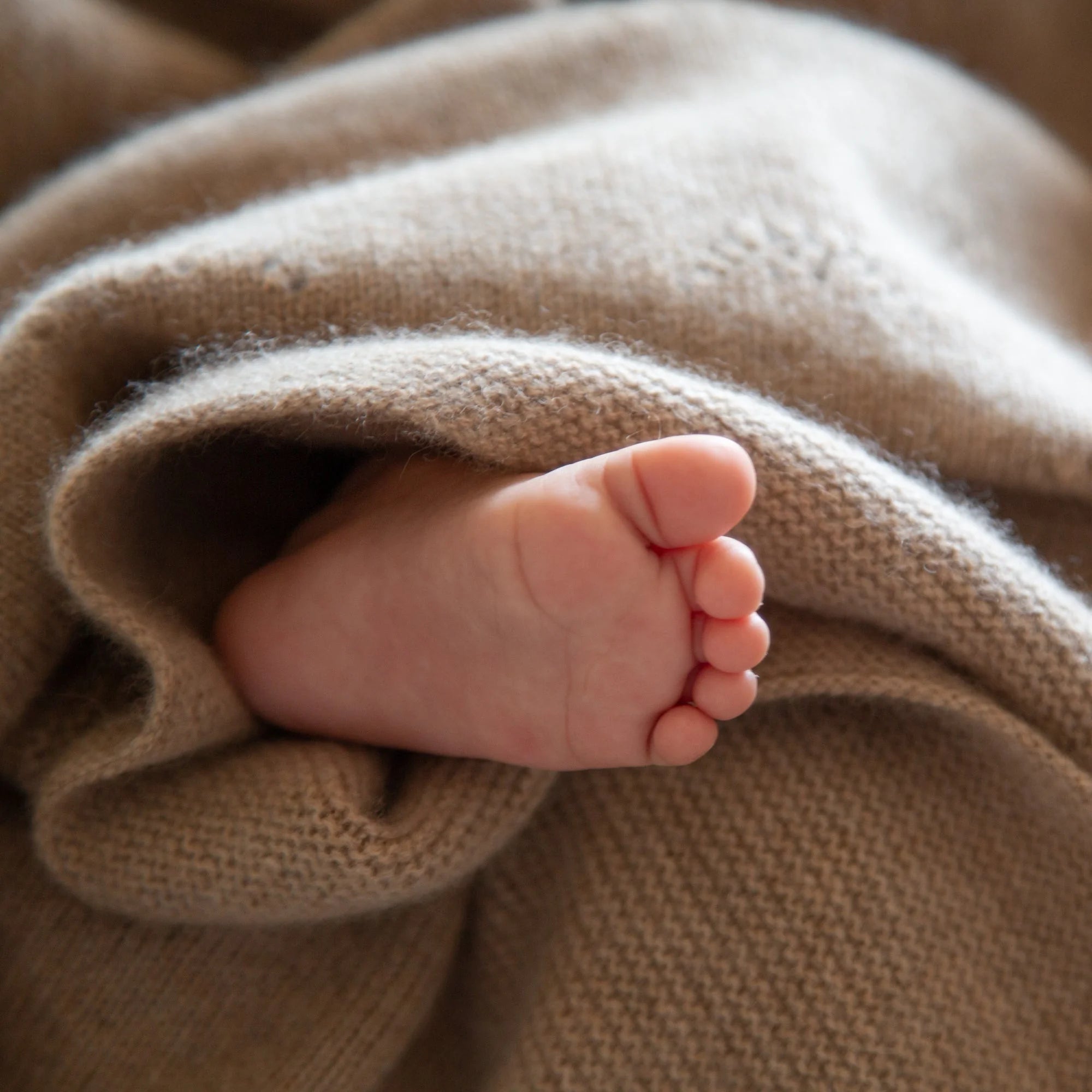 Cashmere baby blanket LEE